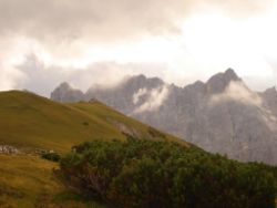 2013-09-08_6Falkenh-Steinfalk (098).JPG
